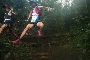 BIB: 6515
                            <button type="button" onclick="openModal(22469215)" class="btn btn-primary btn-sm float-right btn-popup" data-toggle="modal" data-target=".modal-high-quality">
                        <i class="fas fa-shopping-cart"></i> Add to Cart
                    </button>
                                            <button type="button" onclick="isThisMe(22469215, true)" class="btn btn-success btn-sm float-right btn-popup btn-isme hidden" data-toggle="tooltip" data-placement="bottom" title="นี่คือรูปของคุณใช่ไหม คลิกที่นี่เพื่อเอาเข้าอัลบั้ม">
                        <i class="fas fa-plus"></i> Add to album
                    </button>
                    <button type="button" onclick="isThisMe(22469215, false)" class="btn btn-warning btn-sm float-right btn-popup btn-isnotme hidden">
                        <i class="fas fa-ban"></i> Remove from album
                    </button>